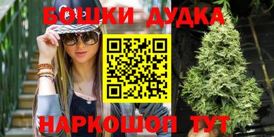 прущие крисы Аргун