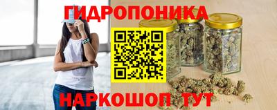 прущие крисы Аргун