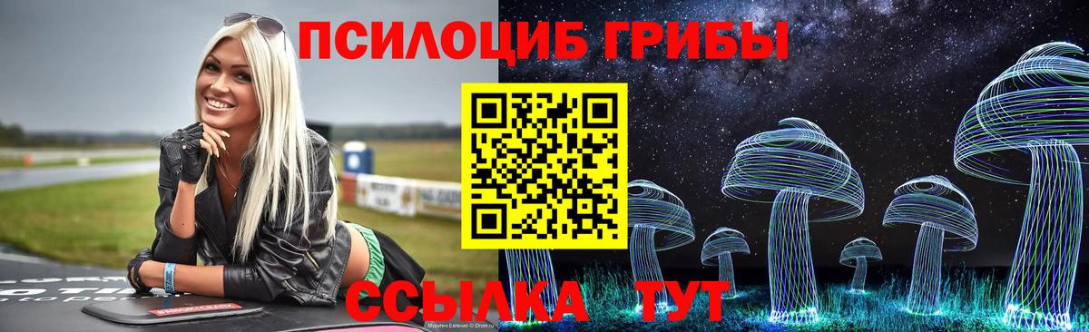 Галлюциногенные грибы мицелий  Псилоцибиновые грибы Cubensis  Верхняя Салда  Вход с VPN 
