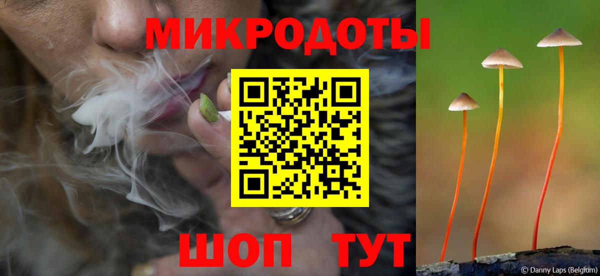Псилоцибиновые грибы прущие грибы Верхняя Салда